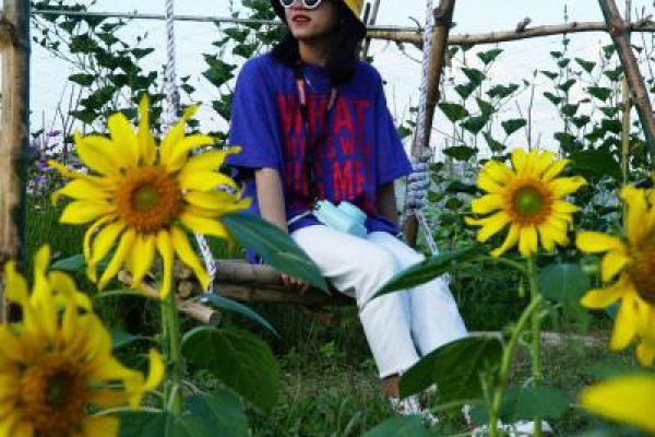 Bộ sưu tập video