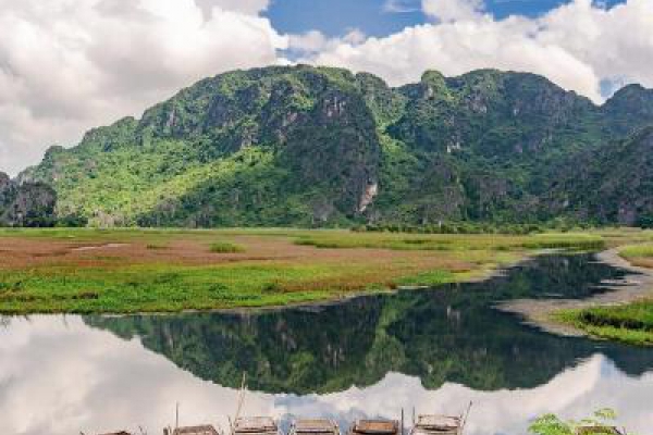 Bộ sưu tập video