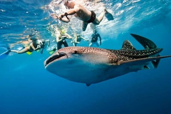 PHILLIPINES - CEBU
