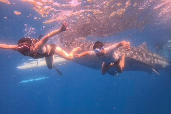 TOUR ĐẢO CEBU - PHILLIPINES